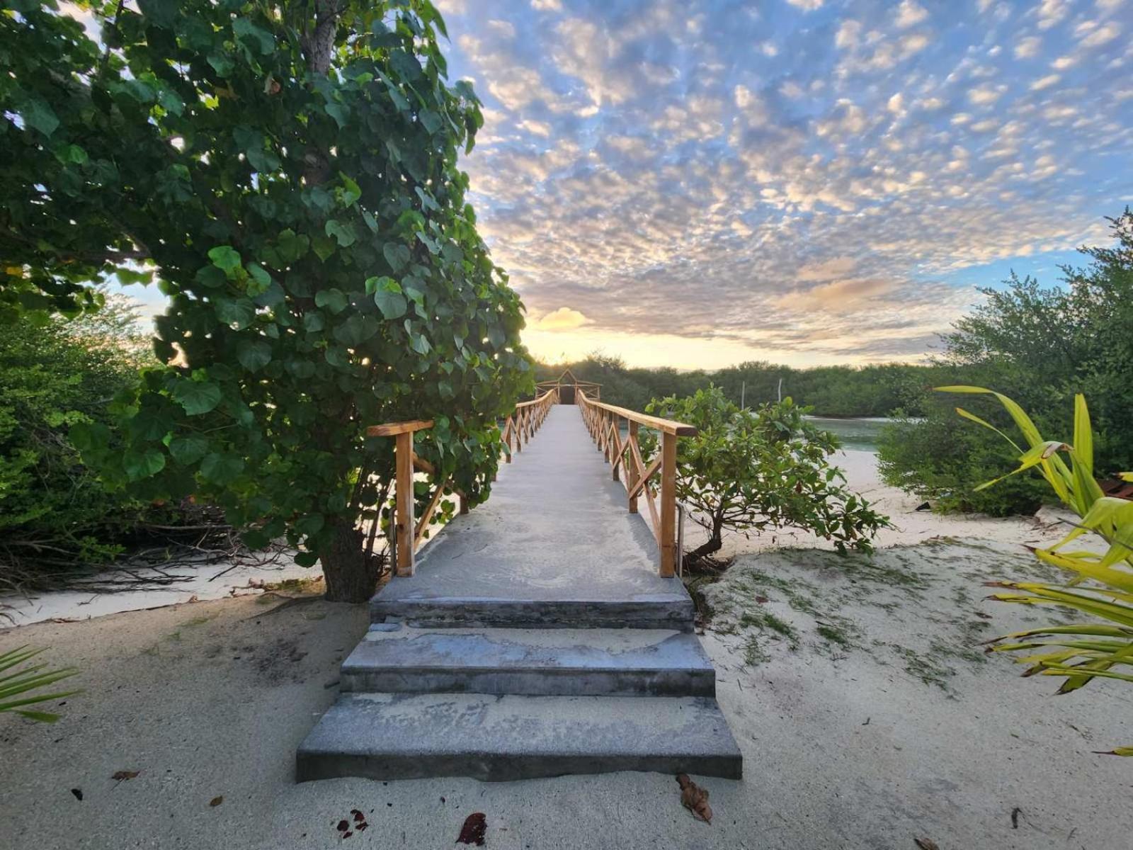 Surf Deck Ξενοδοχείο Thulusdhoo Εξωτερικό φωτογραφία